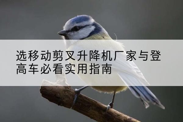 耀州电动升降机厂家-选移动剪叉升降机厂家与登高车必看实用指南