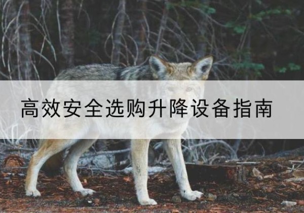 耀州升降货梯厂家推荐-*安全选购升降设备指南